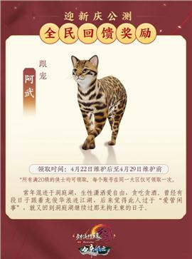 天龙八部私服天神下凡